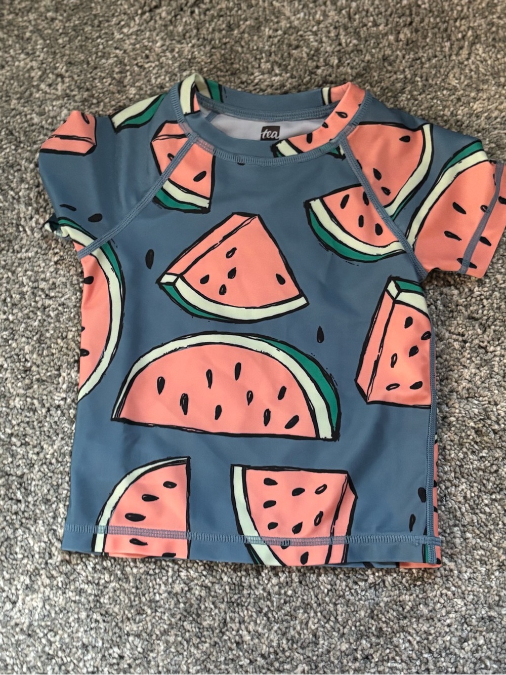 Tea Collection Blue and Pink Watermelon Rashguard